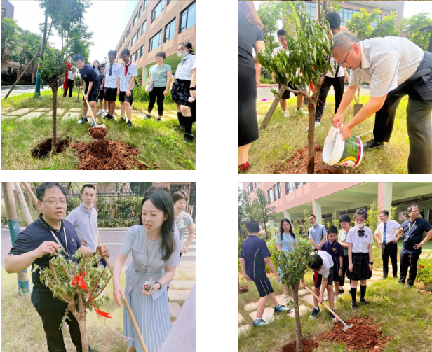 梦想启航，不负韶华 | 启华小学部首届毕业典礼